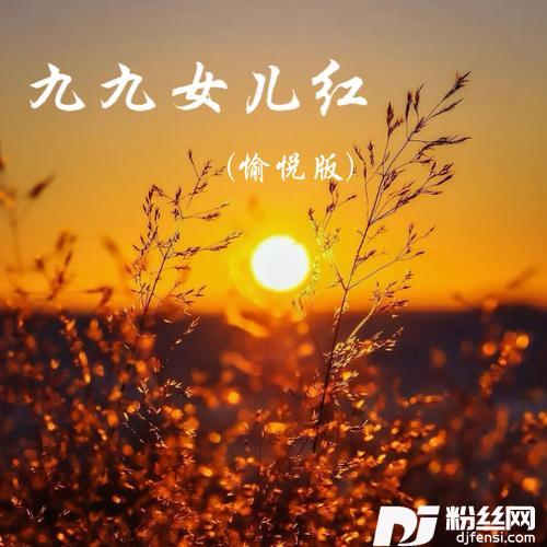 九九女儿红cover:罗时丰