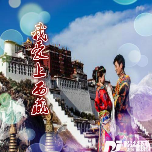 我爱上西藏
