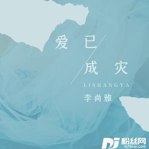 爱已成灾DJ武圣雄版