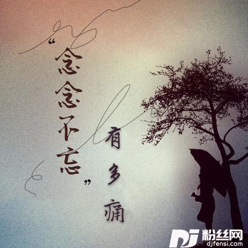 念念不忘有多痛的专辑