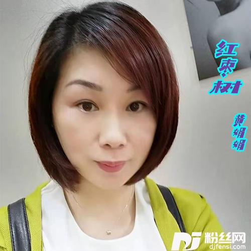 红枣树