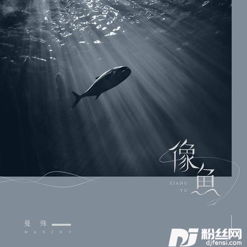 像鱼