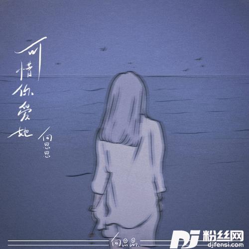 可惜你爱她