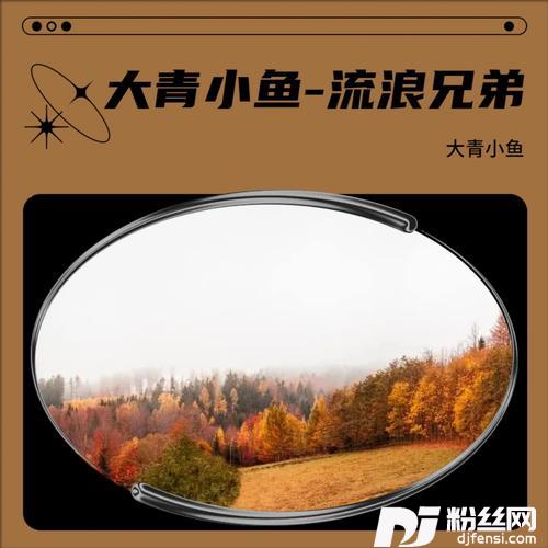 流浪兄弟cover:陈星