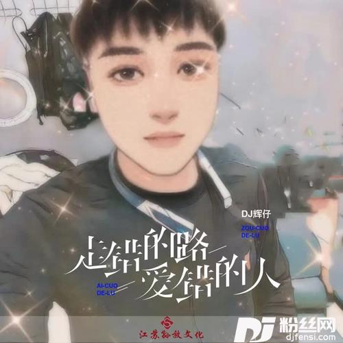 走错的路爱错的人（DJ版）的专辑
