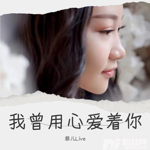 我曾用心爱着你cover:二黑