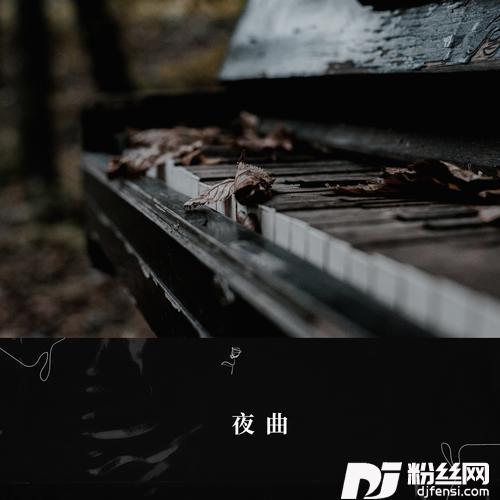 夜曲女声版的专辑