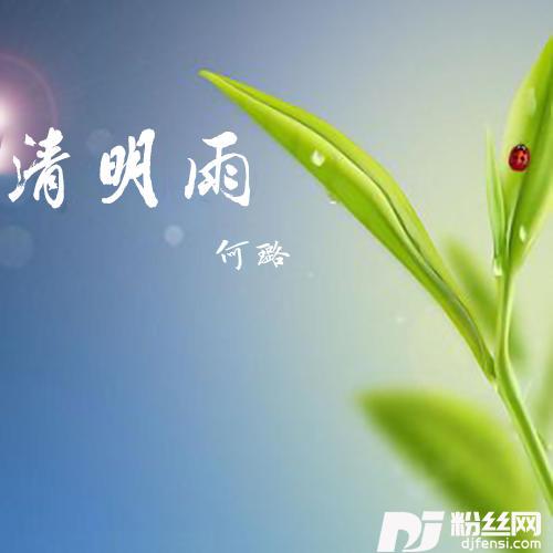 清明雨的专辑
