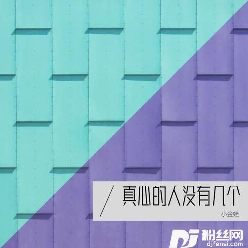 真心的人没有几个DJ尼保版cover:小宝哥