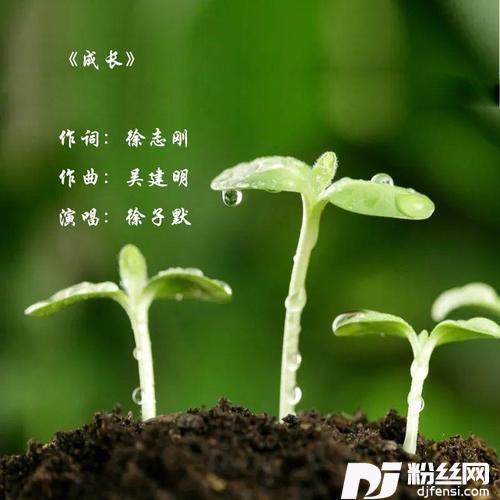 守护着我的光