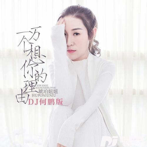 一万个想你的理由DJ何鹏版