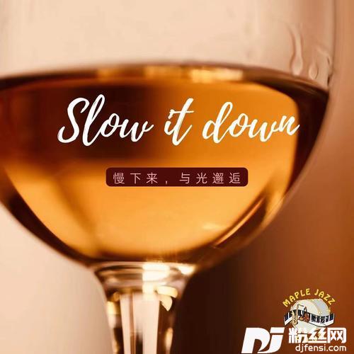 SlowItDown的专辑