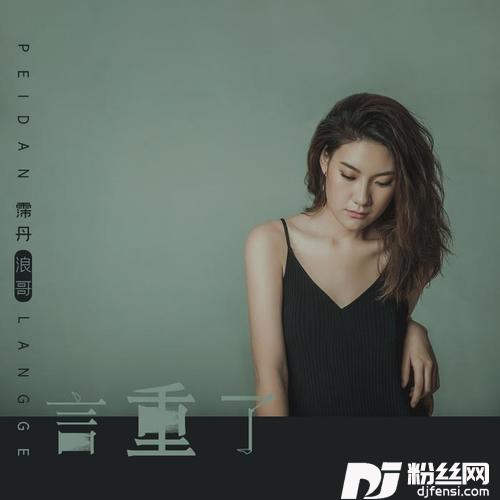 言重了DJ.House版的专辑