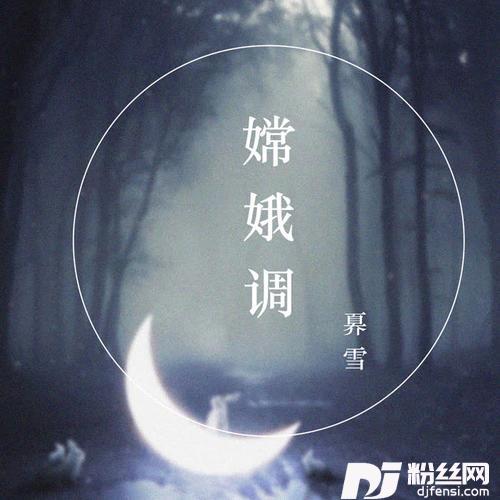 嫦娥调DJ名龙版