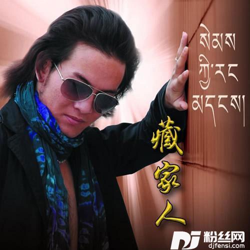 流浪情的专辑