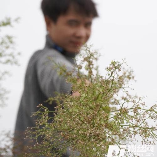 我很普通