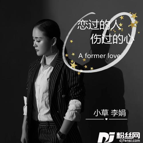 恋过的人伤过的心