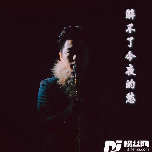 解不了今夜的愁Remix