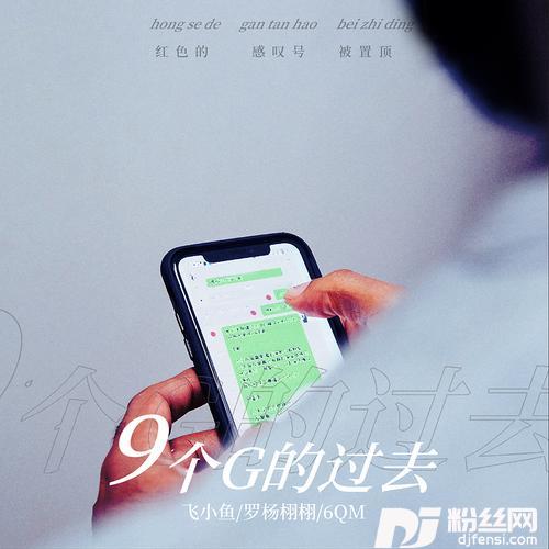 9个G的过去