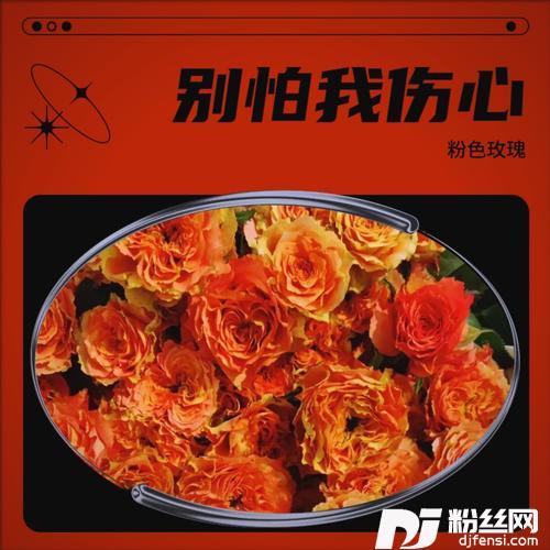 别怕我伤心cover:张肯肯