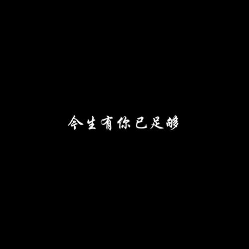 今生有你已足够BGM版的专辑