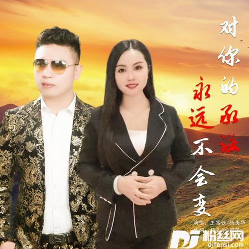 对你的承诺永远不会变
