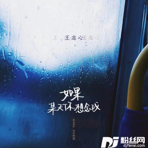 如果某天你想念我女版的专辑