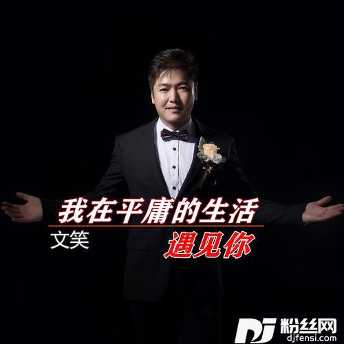 我在平庸的生活遇见你的专辑