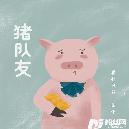 猪队友
