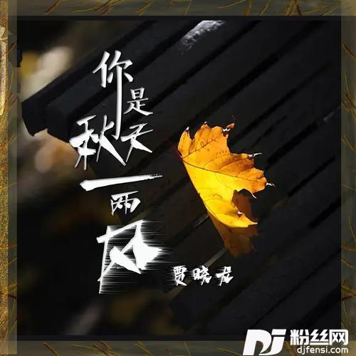你是秋天一两风