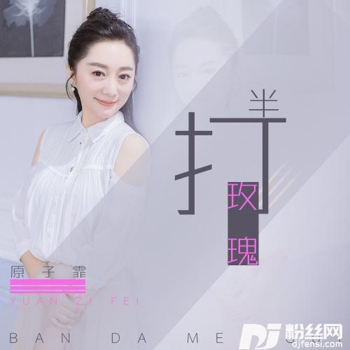 半打玫瑰DJ阿圣Remix