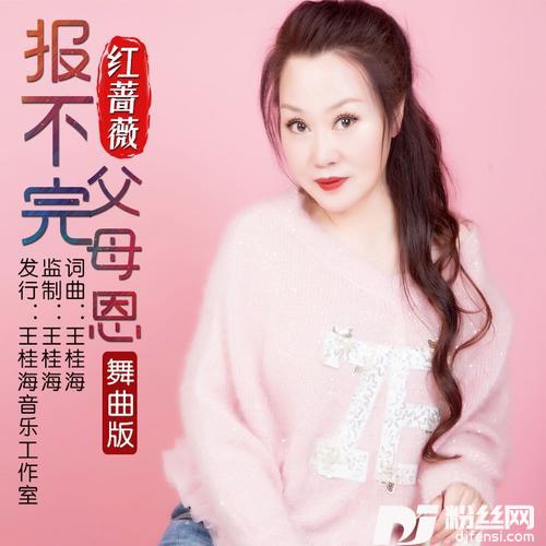 报不完父母恩（舞曲版）