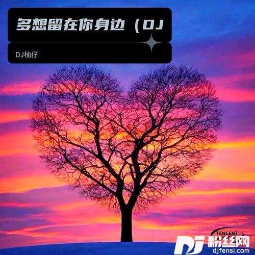 多想留在你身边remix:高桥|DJ|圈妹