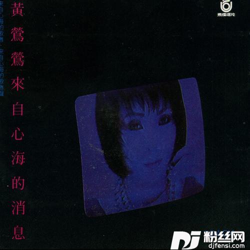 夜未央星海心海