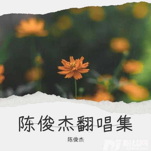 虫儿飞cover:杨烁的专辑