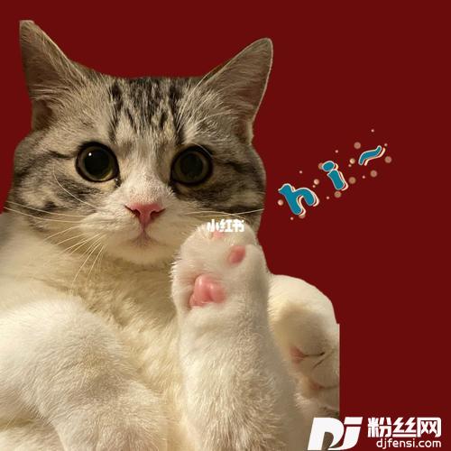 不找了cover:郭旭的专辑