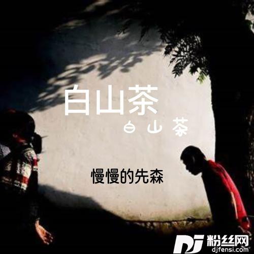 白山茶0.95