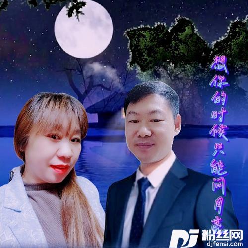 想你只能问月亮的专辑