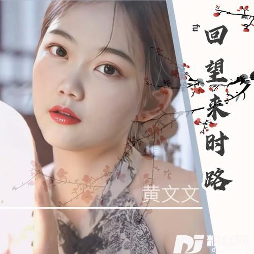 回望来时路DJ默涵版