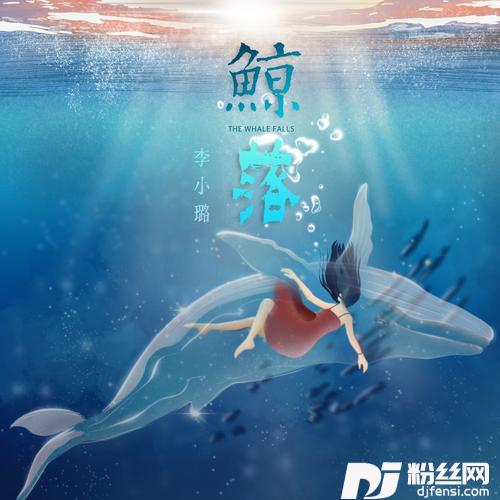 鲸落DJ名龙版