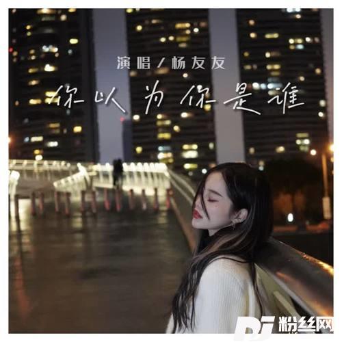 你以为你是谁的专辑