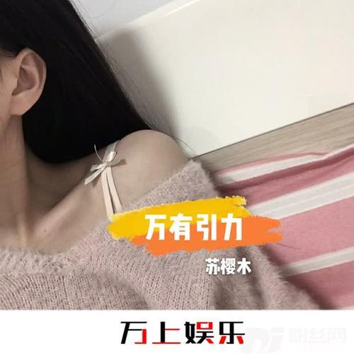 室内系的TrackMakerDJ版