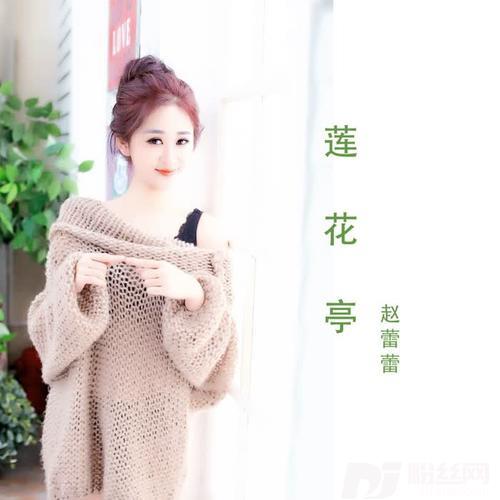 莲花亭（DJ何鹏版）