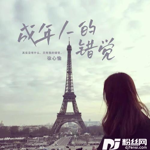 成年人的错觉DJ版