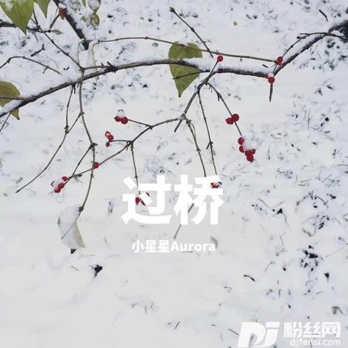 过桥的专辑