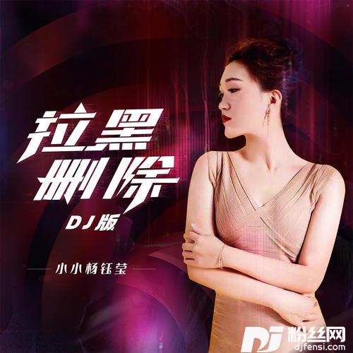 拉黑删除DJ九天版
