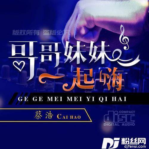 哥哥妹妹一起嗨（DJ何鹏版）