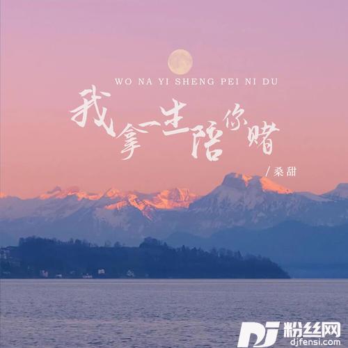 我拿一生陪你赌DJ版的专辑