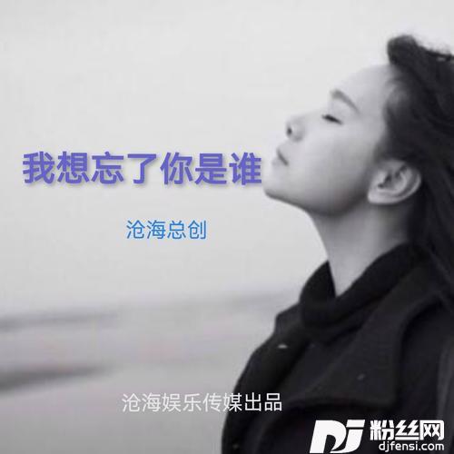 我想忘了你是谁cover:清风音乐