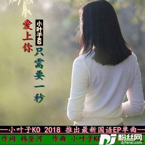 爱上你只需要一秒